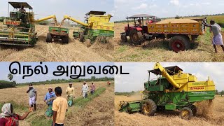 எங்கள் வீட்டு மெஷின் அறுவடை 🌾 குடும்பத்தோடு வயல்காட்டில் நெல் அறுவடை பணியில்