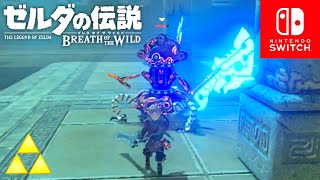 【ゼルダの伝説botw】チャス・ケタの祠攻略 #262