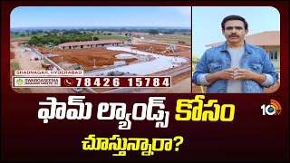 ఫామ్ ల్యాండ్స్ కోసం చూస్తున్నారా? | Swargaseema Sandalwood Farms Pvt Ltd | 10TV