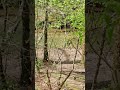 hidden waterfall in the middle of the alabama woods...absolutely beautiful waterfall hiking wow