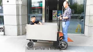 All Stainless Steel Cargo Trailers Electric Family Tricycle For Cargo CE Approval