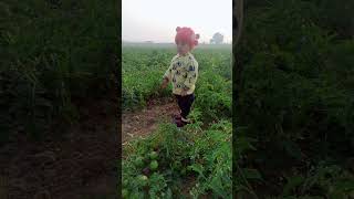 Mera gaon# ham nahi rahb saieya delhi#shortsvideo#cute#shorts