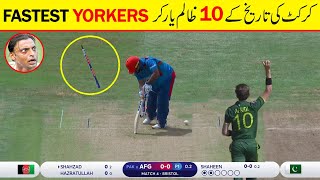 Top 10 Best Yorkers  In Cricket History Of All Times || Cricket Hub