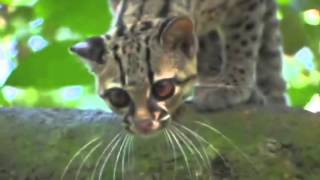 Belize Tourism