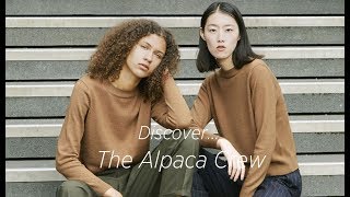 Introducing The Alpaca Crew from STUDY 34