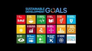 국가 지속가능발전목표(K-SDGs)