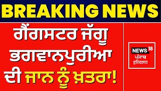 Live | Jaggu Bhagwanpuria ਦੀ ਜਾਨ ਨੂੰ ਖ਼ਤਰਾ! | Breaking News | Bathinda Jail News | News18 Punjab
