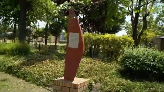 岡山県倉敷市【倉敷みらい公園】倉敷用水・平成２８年・春季