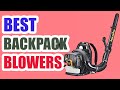 ✅ TOP 10 Best Backpack Blowers 2022 (BUYING GUIDE) || Best Backpack Blowers for Your Money 💥