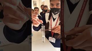 amazing chemical reaction between sodium metal and ethyl alcohol #shorts #chemistry