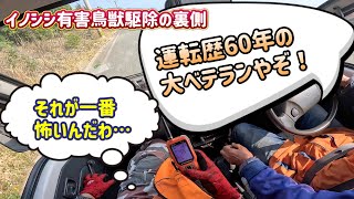 滅多に見れない猟犬によるイノシシ有害鳥獣駆除活動の裏側