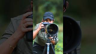 Eye to eye👁️👁️✨#wildlifephotography  #shortvideo  #nature #nikonz9 #aparupadey