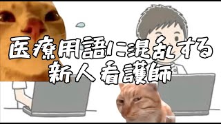 医療用語が分からず混乱する新人看護師の末路。#猫ミーム