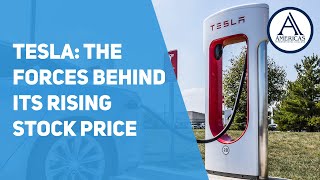 Price, Value and Performance: Tesla Case Study