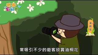 哈客故事館《油桐花》｜哈客寶貝園｜動畫故事