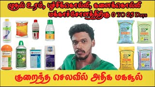 First  உரம், பூச்சிக்கொல்லி, களைக்கொல்லி | மக்காச்சோளத்திற்கு 40 Days |  Fertilizer for Maize