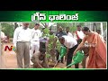 Green Challenge Goes Viral | Celebrities Plant Saplings Under Haritha Haram | NTV