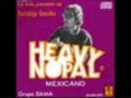 heavy nopal - asalto chido