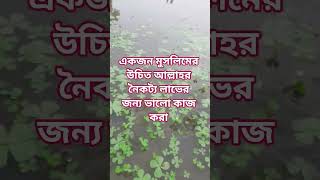 আমাদের উচিত সবসময় ভালো কাজ করা।#foryou #forpage #shortsvideo