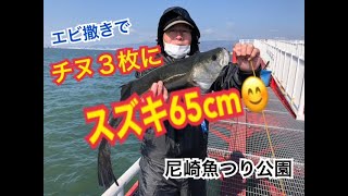 エビ撒きでハネ・チヌ好調♪fishingmax武庫川店