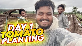 A day with lots of efforts..|| Indian vlogs|| SCT वैदिक टोमॅटो||