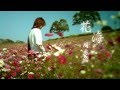 Jay Chou - Sea Of Flowers