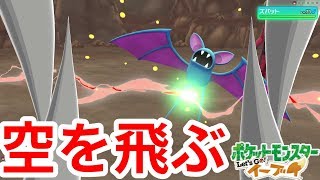 空の王者になれるのか！？ズバットマスター【ポケモンLet'sGO！イーブイ】