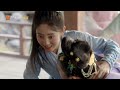 【eng sub】《覆流年 lost track of time》第11集 陆安然灵奚再相聚【芒果tv季风频道】