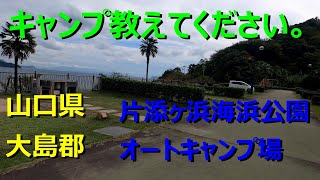 こんな近くに南国のハワイ！？ 【片添ヶ浜海浜公園オートキャンプ場】