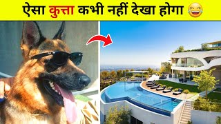 ऐसा कुत्ता कभी नहीं देखा होगा 😂😱 amazing Facts #shorts​ | it's Dhakad