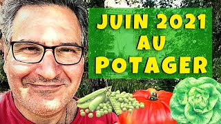 Les légumes à planter en juin au potager ! Et il y en a beaucoup ! 😉