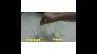 Pregnancy test at home in easy way #toothpaste #pregnancytest #savi'sulagam