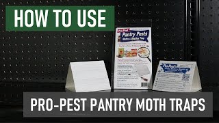 How to Use Pro-Pest Pantry Moth \u0026 Beetle Traps [Get Rid of Pantry Pests!]