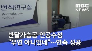 반달가슴곰 인공수정 \