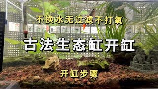 不换水无过滤不打氧，古法生态缸开缸，详细分享开缸全过程