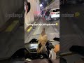 viral burung dara ini nurutt ga mau terbang saat dibawa di motorr fyp fypage fypシ