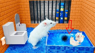 CHALLENGE The Hardest Traps For Hamsters | Hamster Life