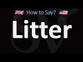 How to Pronounce Litter? (2 WAYS!) UK/British Vs US/American English Pronunciation