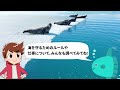 【学ぼう！海と日本と私たち】②「世界の海のルール」～みんなの海を守るために～