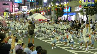 PO連／南越谷中央通り演舞場／第34回 南越谷阿波踊り2018（初日）