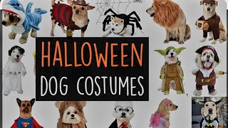 HALLOWEEN COSTUMES FOR PETS | HAPPY HALLOWEEN | COSTUMES FOR DOGS AND CATS | DOG HALLOWEEN COSTUME