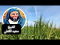 يحبها رغم قبح لسانها من ✨️روائع الشيخ سعيد الكملي