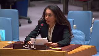 #PSIDS Chair 🇵🇼, Ambassador Seid, delivers a statement at the open debate of the #SecurityCouncil