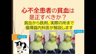 心不全患者の貧血は是正すべきか？(鉄剤から実際の所まで循環器内科医が解説します)