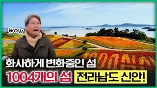 1004개의 섬을 품고 있는 전라남도 신안! 섬에 색깔을 입히고 정원을 만들었다! [ 테마기행길 ] 20250117