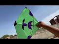 kite looting 🪁😱 patang loot li bhot saari 😍🐼 kite looting video ~ kite catching video kite