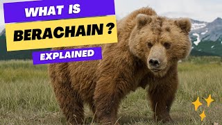 What is Berachain?  ✅ Explained under 10 minutes 🔥🔥🔥