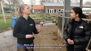 Bijbaan met een visuele beperking - Aflevering  Kiki