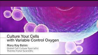 Culture Your Cells with Variable Control Oxygen