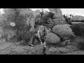 Dear Apollo - Fear [Official Music Video]